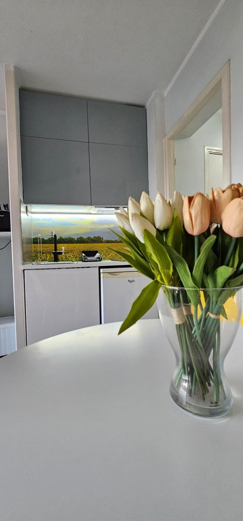 Affitto-Nizza Apartment Luaran gambar